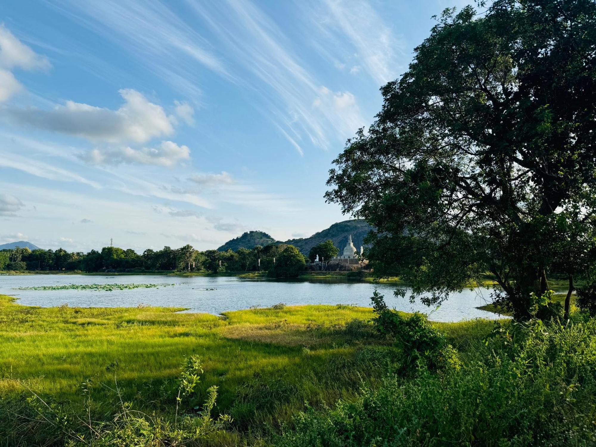 The Green Edge Dambulla Eksteriør billede
